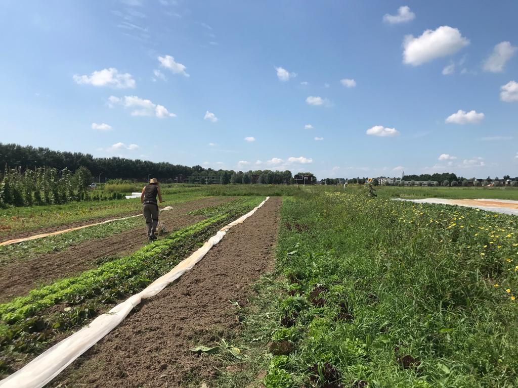 Odoo afbeelding en tekstblok